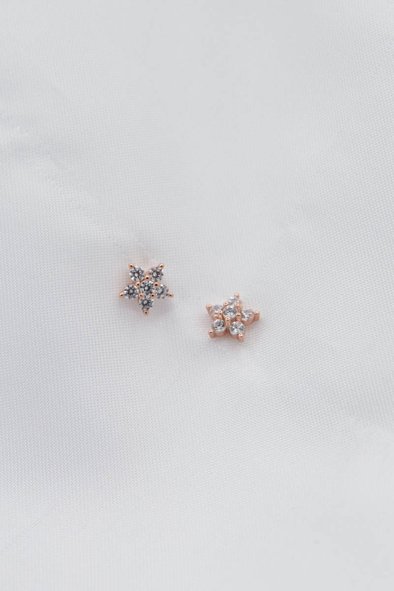 Orecchini a forma di fiore in fiore, orecchini in resina con fiori pressati veri, orecchini a forma di gatto in oro, regalo per gatti - Italia